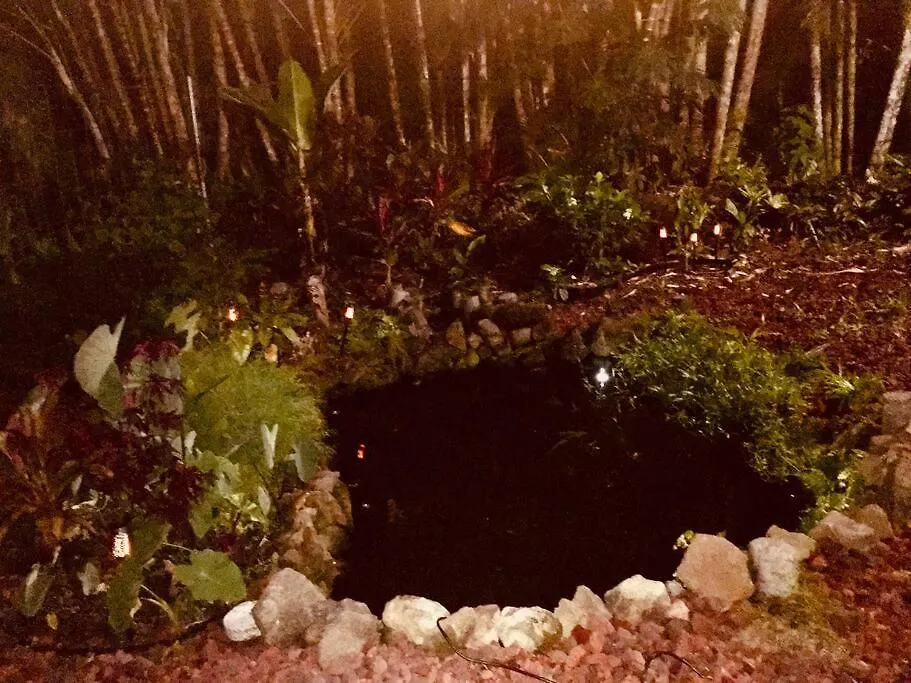 The Red Cottage And Hawaiian Pond Garden Paradise! Keaau